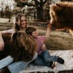  Mini Highland cow with family