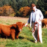  Mini Highland cow with family